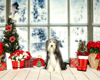2025 Christmas