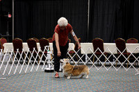 Altered Performance Class