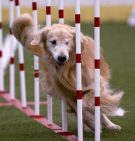 Agility